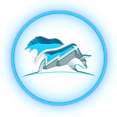 SMC DAN Logo
